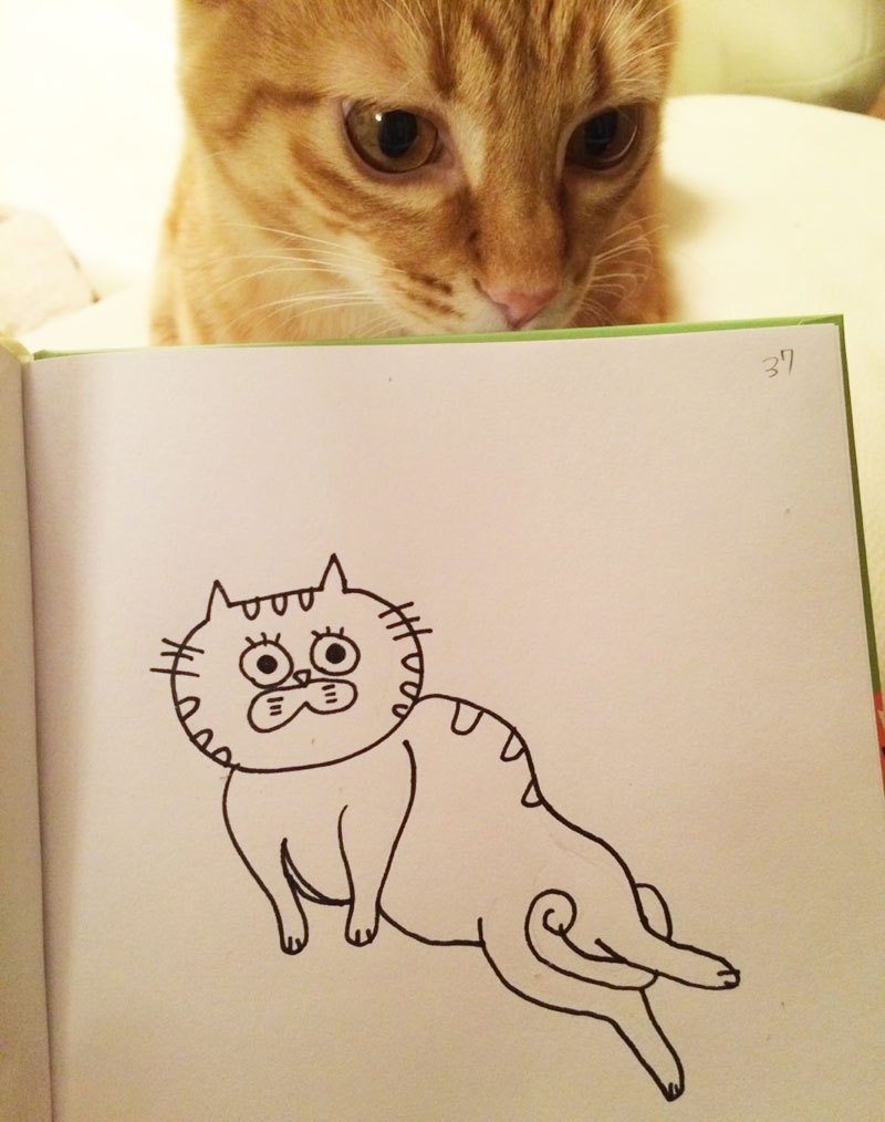 cat3