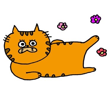 cat4