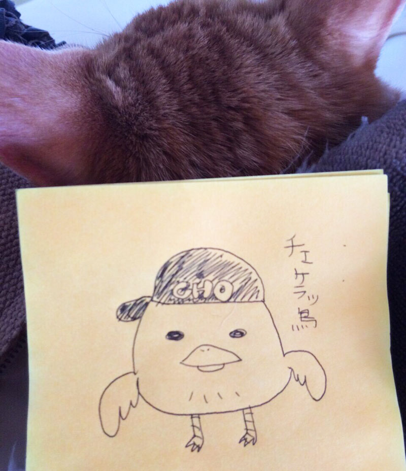 duck1